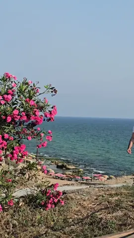 ربي ليس إليَّ سواه