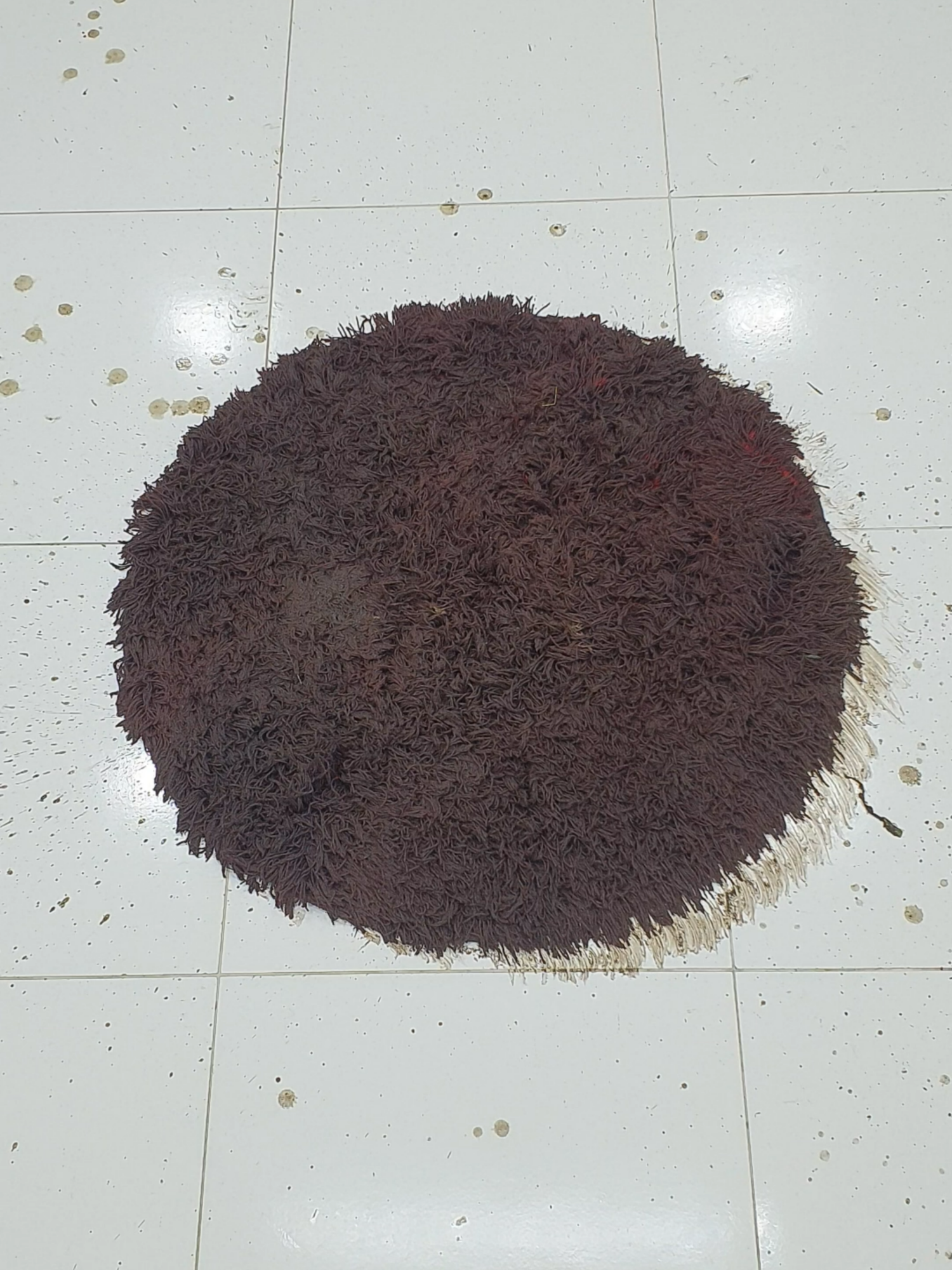 DIRTY Shag Rug Gets a Deep ASMR Clean!#RugCleaning #CleanTok #asmr #cleaning #asmrsound #SatisfyingClean #ASMRCleaning