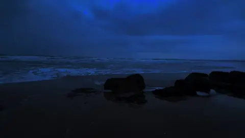 #ocean #darkaesthetic #bluehour #relaxing 