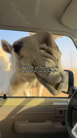 #الوضح #explore #viral #fyp #4u 