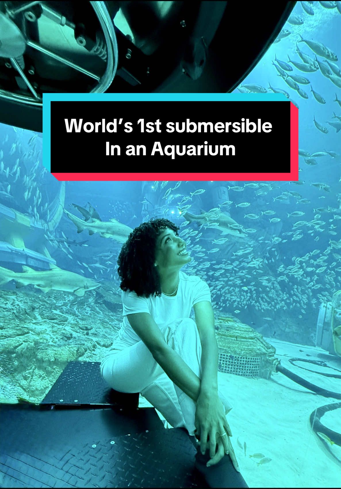 World’s 1st submersible in an aquarium 🦈  @Yas Island جزيرة ياس  . . . Content Director: @Dayon Content  . . #travel #seaworld #sea #submarine #abudhabi 