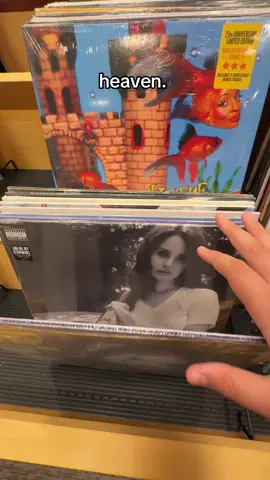 dont mind how i almost dropped all of them #lanadelrey #lana #lustforlife #lanadelreyvinyl #records #vinyls #lanadelreyrecords #fyp #fypage #viral #blowup #goviral #borntodie #btd #paradise #bluebanisters #violetbentbackwardsoverthegrass #ultraviolence #westcoast #ultraviolencewithwestcoast #nfr #normanfucjingrockwell #didyouknowtheresatunnelunderoceanblvd #oceanblvd #oceanblvdlanadelrey #barnesandnoble #bandn #overthecountryclub #chemtailsoverthecountryclub #chemtails #ldr 