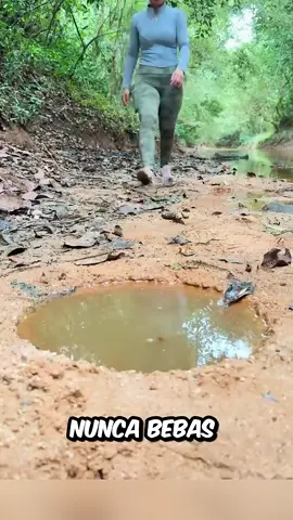 Nunca bebas agua estancada en la naturaleza. Esta chica nos enseña un truco genial para purificar agua usando vasos, pajitas y piedras, y luego hervirla para estar 100% seguros. Perfecto para cuando te quedas sin agua en la montaña. Si te parece útil, deja tu like. #Supervivencia #Naturaleza #AguaPura #CampingTips #Aventuras #SobrevivirEnLaNaturaleza #LifeHack #rexo #datoraro  Disclaimer:This information is taken from the internet which may or may not be true we do not want to spread any fake news. The content provided by this channel is meant for EDUCATIONAL PURPOSE only. Copyright Disclaimer:- Under section 107 of copyright Act 1976, allowance is made for FAIR USE for purpose such a criticism, comment, news reporting, teaching, scholarship and research. Fair use is as permitted by copyright statues that might otherwise be infringing. Non-profit, educational or personal use tips the balance in favor of FAIR USE.