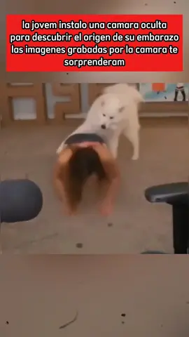 #truestory #story #LearnOnTikTok #dog #woman #mistery #storytime 