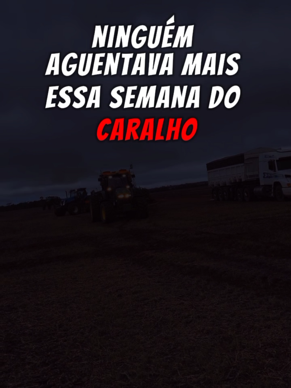 a sexta feira chegou  #agro #sextafeira #fimdesemana #sextou 