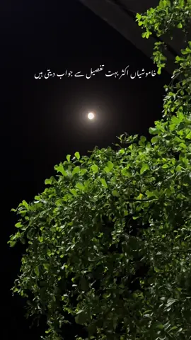 خاموشیاں اکثر بہت تفصیل سے جواب دیتی ہیں #foryoupage #foryou #fvrt #lines #nightvibes #foryoupageofficiall #nightvibes🎶🎵 #fypシ゚viral #fypage #foryoupage❤️❤️ #fypシ #fyp #fyppppppppppppppppppppppp 