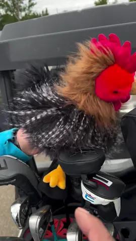 Now I’ve seen it all! 😂 what a head cover! @brubruthas 