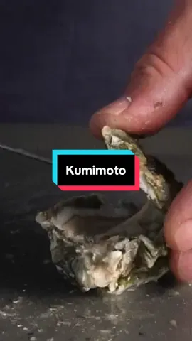 Have I Tried this Oyster? #seafood #oyster #tastetest
