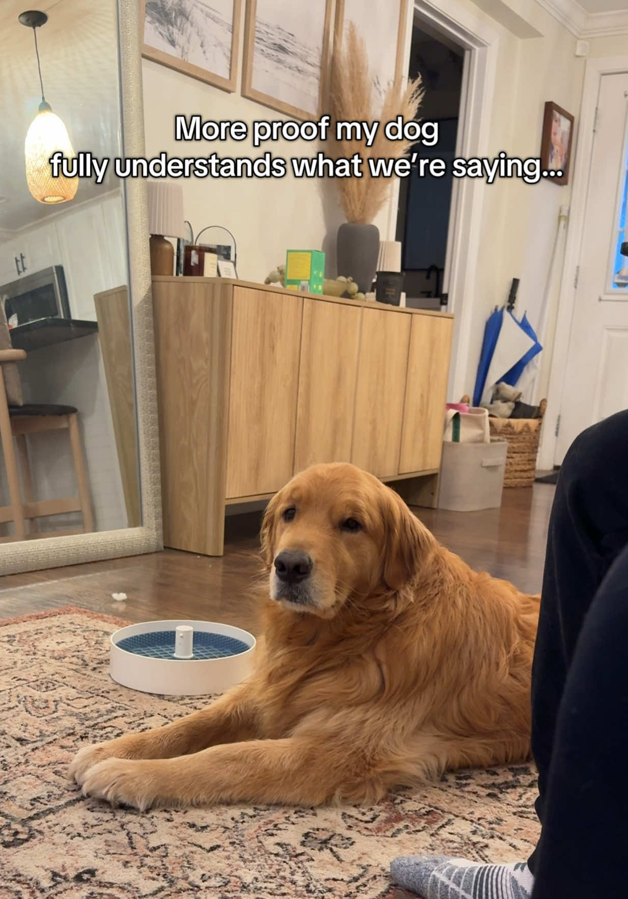 I guess we have to take him to go catch a fish right? 🥺 #goldenretriever #dogs #talkingdog 