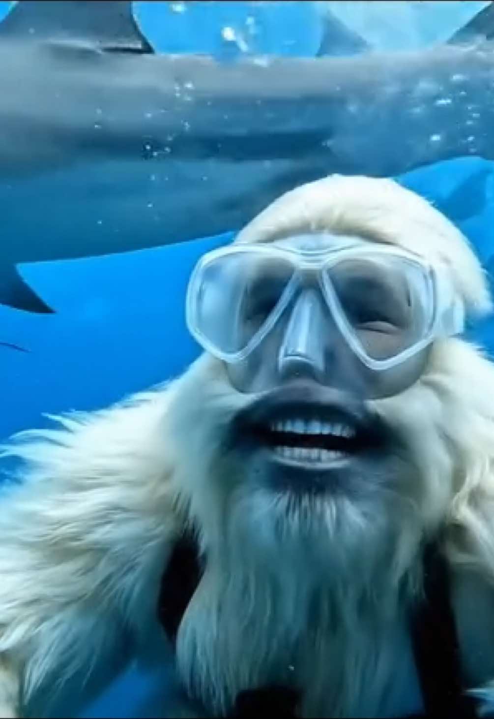 #bigfoot #sasquatch #ocean #shark #nature #ai #fyp #foryoupage 