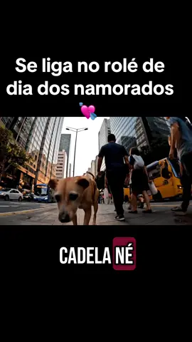 Missão dia dos namorados… vida de caramelo não é fácil! 🐶🇧🇷 #caramelo #caramelobr #diadosnamorados 