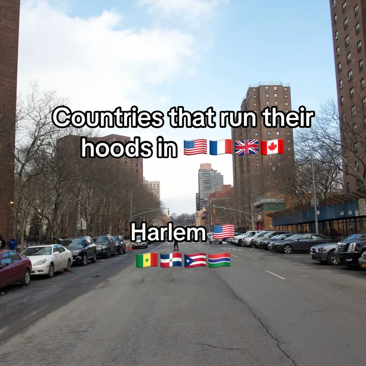 #fyp #harlem #senegalese #somali #thebronx #minneapolis #london #france #westafrican #uktiktok #guineantiktok #gambian_tiktok🇬🇲🇬🇲 