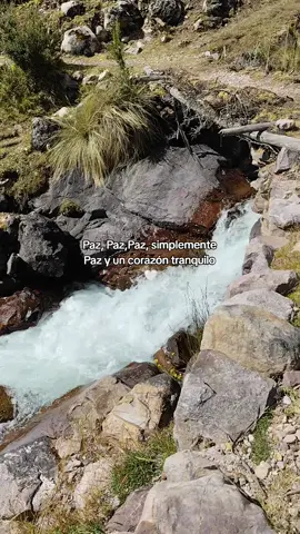 Cuncani Lares🤍#roxanaaranzabal #parati🇵🇪 #Perú #foryou #germany🇩🇪 