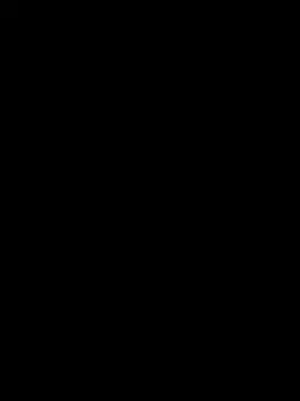 🌚🌍🌝