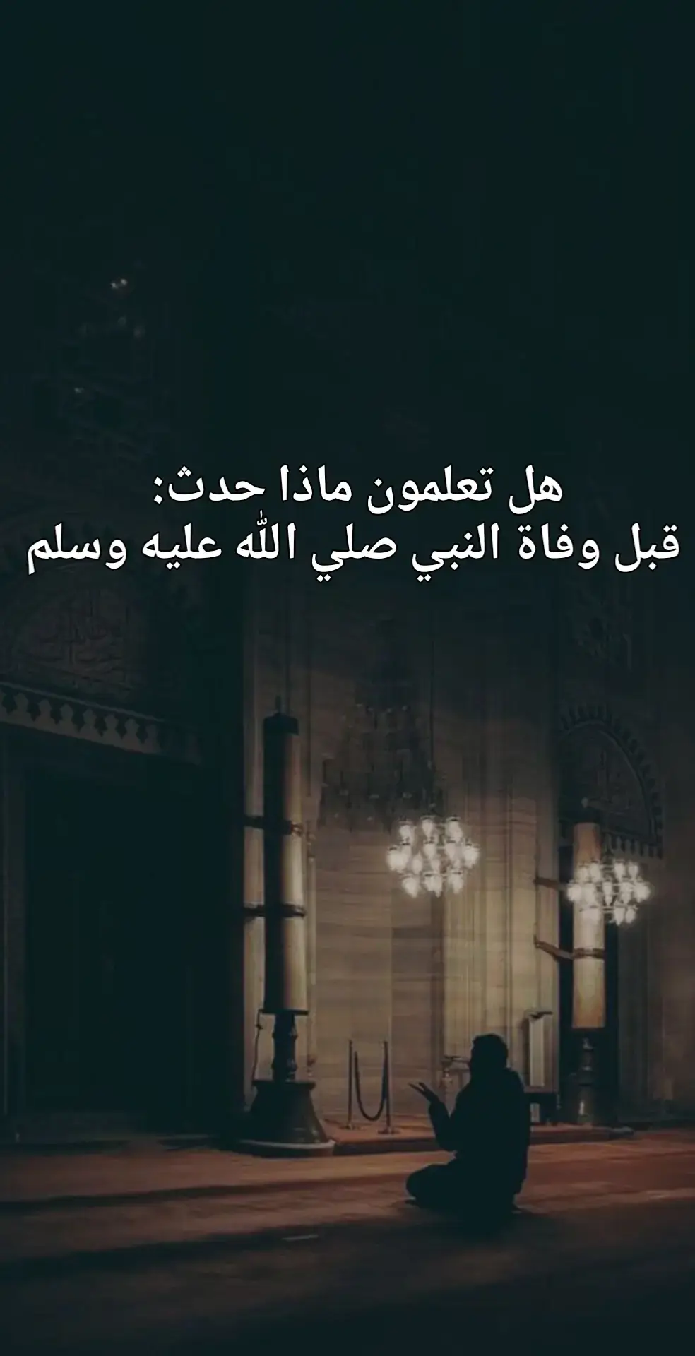 #السيرة_النبوية #قصة #محاضرات_دينية #الدين_الاسلامي #الإسلام #اللهم_صل_وسلم_على_نبينا_محمد #الله #اللهم_صلي_على_نبينا_محمد 