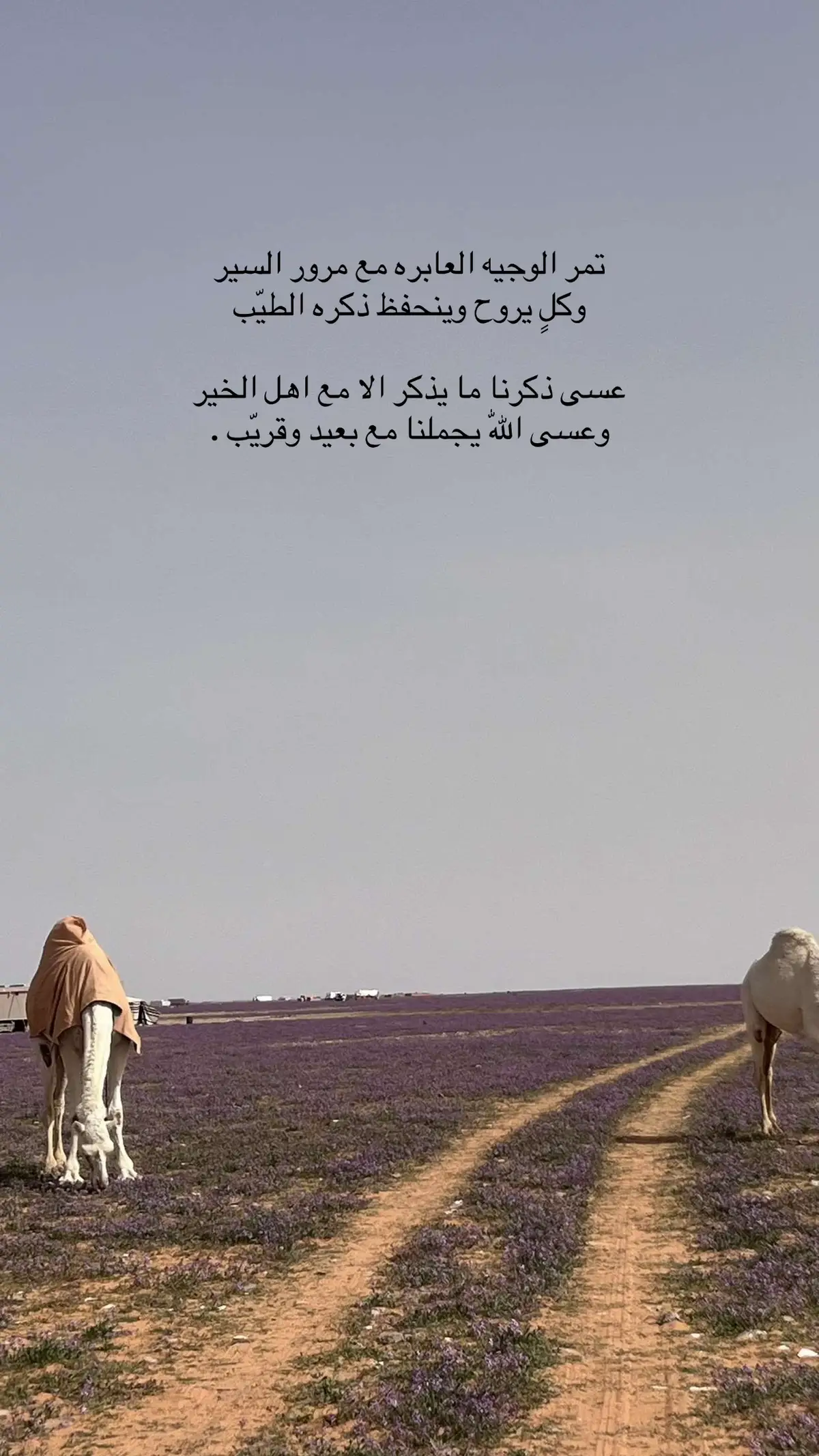 #شعر 