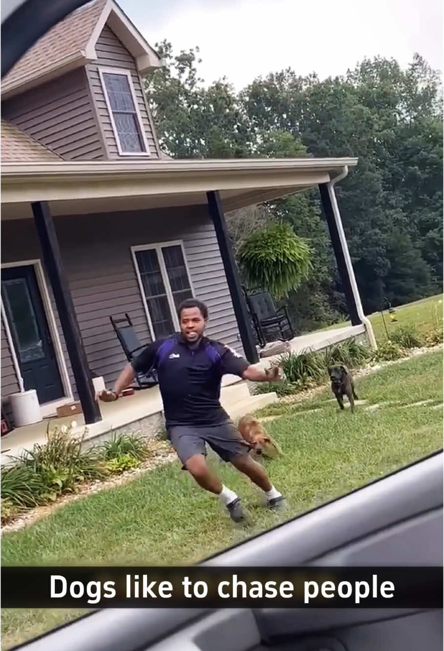 Dogs love chasing deliverymen😳😭#dogsoftiktok #dogs #cutedog #dog #usa🇺🇸 