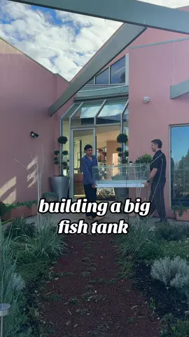 This is going to be fishy heaven when we’re done 🐡 #interiordesign #renovation #Home #fishtank 
