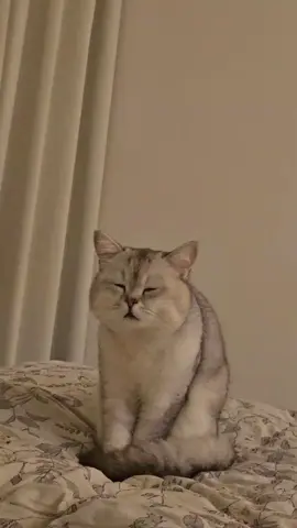 #cat