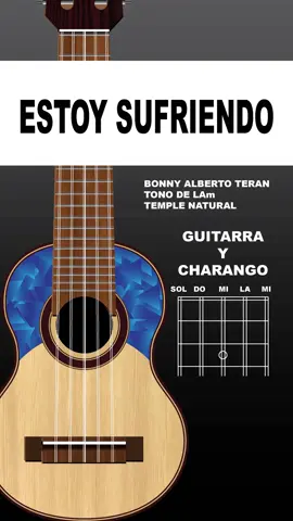 Tema: Estoy Sufriendo, Bonny Alberto Teran, Temple Natural en tono de Lam. #tutorial #guitarra #charango #letra #huayno #folklore 