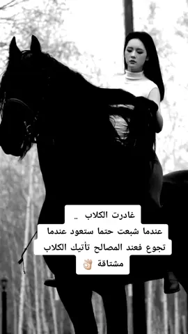 #خيل_وخياله🐎 #خيل_حصان_فرس_مهره_خيول_امهار_العاديات #horseriding #fouryoupagee #explorepage✨ #horseriding #horseriding 