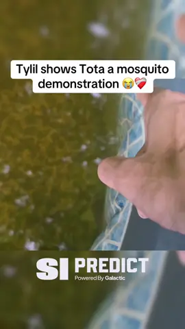 Tylil shows Tota a mosquito demonstration #tota #fyp #viral #clip #clips #funny #streamer #twitch #tylil 