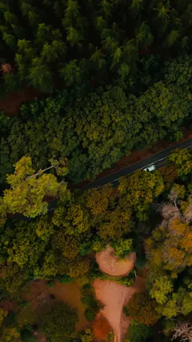 Life is a Highway - Rascal Flatts #lyrictok #songlyrics #lyricvideo #fyp #cars #lifeisahighway #rascalflatts #nostalgia #roadtrip #soulmusic #soultunes