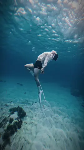 Lần đầu tiên đi lặn ở Phú Quý và cái kết 😝😝😝😝😝 #beachvibes #phuquyisland #freediving #daophuquy #fyp 