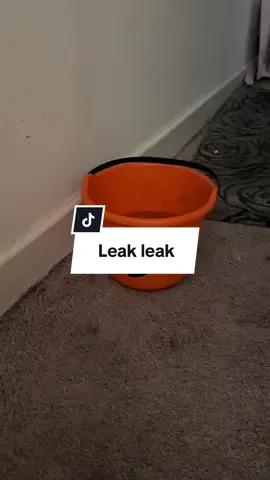 Mystery Leak was finally found 