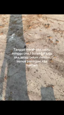Gasss taruui🔥#fyp #kuli #kulipabrik #storikuli 