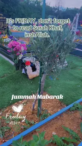 Jummah Mubarak Everyone. #fyp #muslim #muslimtiktok #muslimah #muslims #allahuakbar #islamic #jannahismygoal #quran #surah #surahkhaf #allah #deeds #islamic_video #islamisperfect #AllahismyRab #jummah #jummahmubarak #jummahamubarakstatus🕋🤲 #jummahamubarak #jummahstatus #jummah_mubarak_to_all_muslims #jummah_kareem 