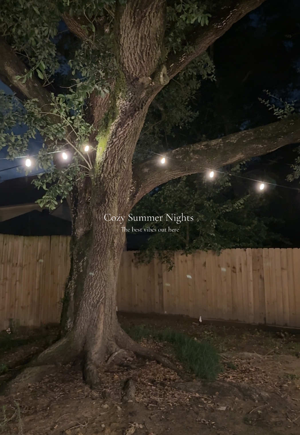 Starting to add cozy lights to my patio and I’m loving it  😊 #patiolights 