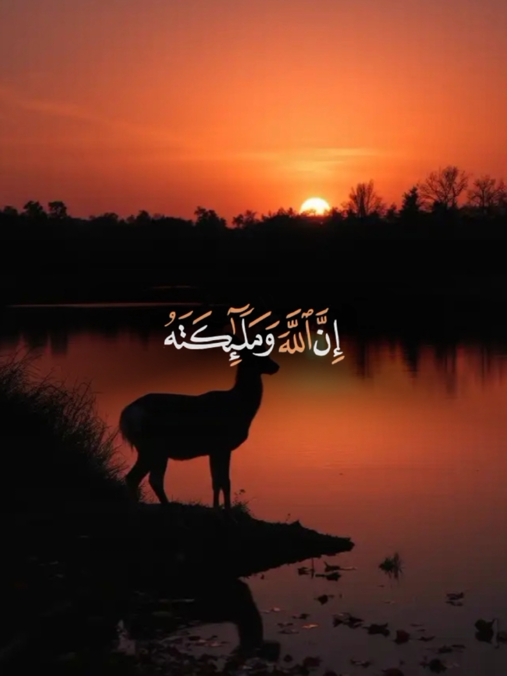 #CapCut tilwati qurani pak#allah❤️ #allah #fypシ #foryoupage #grow #FYP #viralvideo #100kfollowers #fypシ゚viral #growmyaccount #foryouviral 