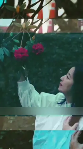 အချစ် 🎤 ဆုန်သင်းပါရ် #zawlinnhtun #viral #tiktok #forypupage #capcut #ရောက်ချင်တဲ့နေရာရောက်👌 #သီချင်းချစ်သူများအတွတ်☺️🎼🎵🎶 #fypပေါ်ရောက်စမ်း #မြင်ပါများပီးချစ်ကျွမ်းဝင်အောင်လို့🤒🖤 #မြင်ပါများပြီးချစ်ကျွမ်းဝင်အောင်လို့😜🤗 #သီချင်းလေးသဘောကျလို့😁❤️ #သီချင်းလေးကြိုက်လို့ပါ #tiktokmyanmar🇲🇲 #foryou 