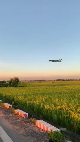 Con đường về nhà mỗi ngày của tôy như thế này đóoo 🥰 #hanoi #noibaiairport #boeing #boeing787 #vietnamairlines #xh 