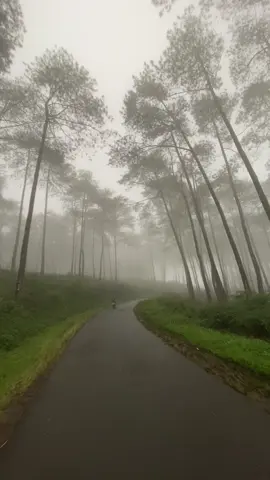 #fyp #kabut #hujan #ngrayun #ponorogo24jam 