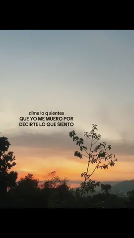 ❤️❤️#fypシ #foryoupage #viral_video #contenido #ponmeenparatitiktokculero #todoasutiempo #❤️ #dimeloquesientes #queyomemueropordecirteloquesiento#unamorbonito #amor 