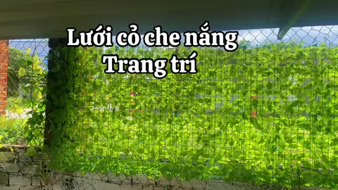Rèm cỏ trang trí#fyp #xuhuongtiktok #lênxuhướng #caitaonhavuon 