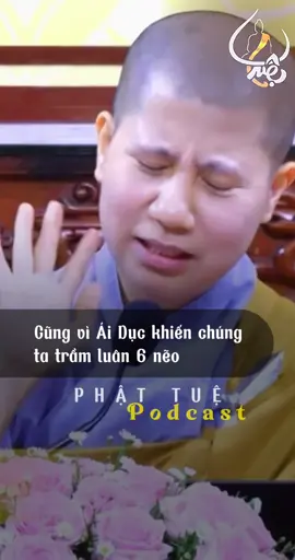 Con cầu nguyện xin cho tất cả Chúng Sanh được khoẻ mạnh, an vui và hạnh phúc. Xin cho tất cả Chúng Sanh được nghe và hiểu được chánh Pháp của Phật, con đường tu tập luôn vững chắc sớm ngày được giải thoát, giác ngộ hoàn toàn. Dù sanh về nơi đâu vẫn luôn được thấy Pháp nhiệm mầu. Nam Mô A Di Đà Phật 🙏🙏🙏 “Cám ơn Nhà hàng chay Tuệ tài trợ Logo chữ Tuệ”  #nammobonsuthichcamauniphat  #nammoadidaphat #nammoamidaphat #phattue #thichgiaclehieu #giaclehieu #phattuhoaibao #phậttuệ #tuệ #podcastphattue 