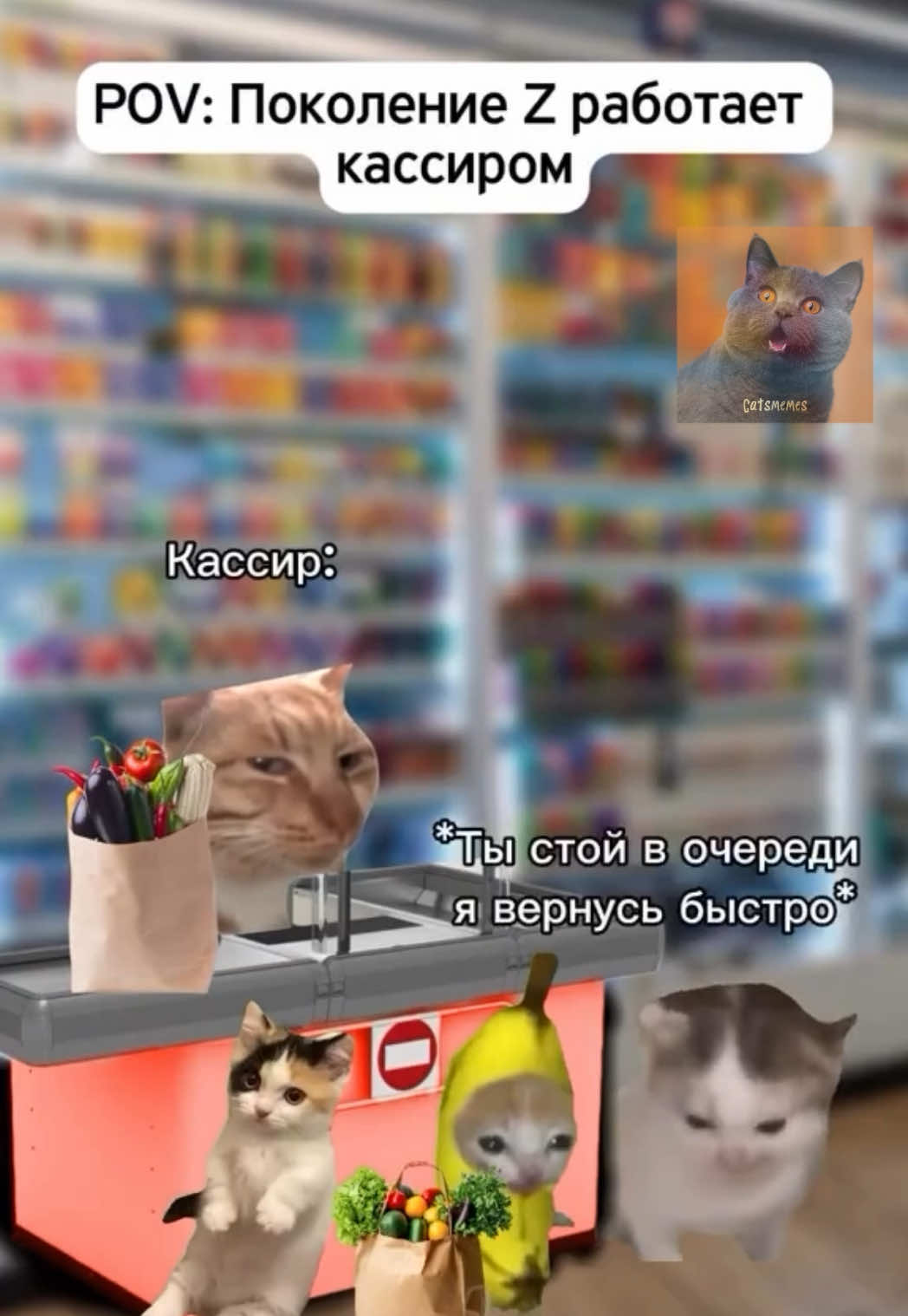 Это по-моему  жиза 😽  Хотя по моему личному опыту молодые кассиры так никогда не делали 😼 А как было у вас? Пишите в комментариях и подписывайтесь! 😺 #коты #кошка #котики #кот #котикиприколы #мемы #cat #cats #memes #fyyyyyppppppppppppppp #fyp #рекомендации #recommendations 