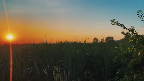 #CapCut Chill 1 video sunrise good . #capcutradio #pastlives #sunrise #chill #fyp 