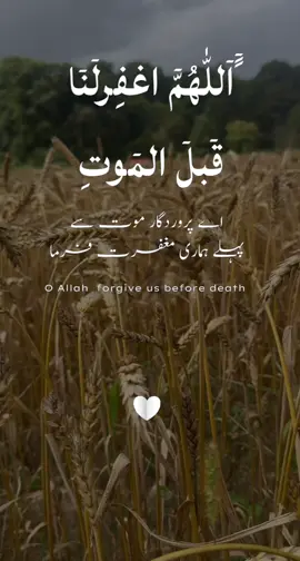 #zikr_and_noor #muslimtiktok #islam #allah #quran #fyp #foryoupage❤️❤️ 