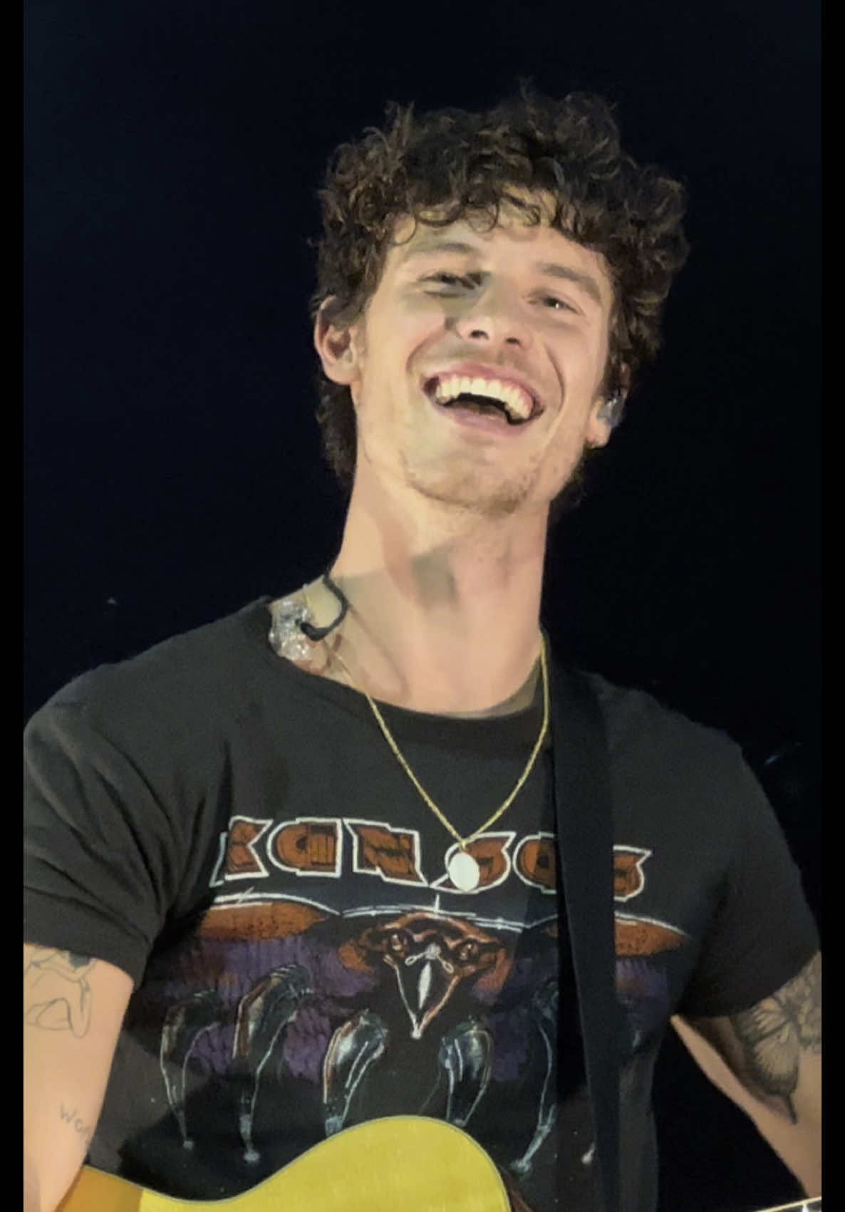 stitches by @Shawn Mendes @ShawnAccess (pls excuse me) #shawnmendes #shawnmendesthetour #losangeles #shawnaccess #concert #shawnmendesvideos #stitches #fyp #fypシ 