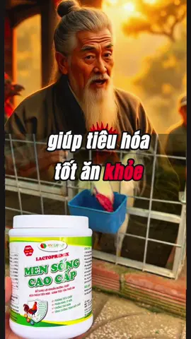 Men sống giúp tiêu hoá tốt, ăn nhiều, giảm tiêu tốn thức ăn,…. #gà_chọi_việt_nam #xuhuong #laosukect #mentieuhoa #viral 