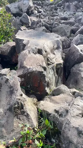 kata-kata buat trek lawu via cemoro sewu pos 4🫣 #mentahan #mentahanvideo #bahanswmu #story ##jatimpride##gununglawu##pendakigunung##pendakifomo##lawuviacemorosewu##storywa##gunungindonesia##pendaki