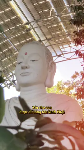 Lời khấn nguyện trước Phật🙏🏻 #tonkinhphat #phatphapnhiemmau #phatphapvadoisong #daolyhay #viral 