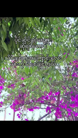 မပြောထွက်ခဲ့ဘူး😮‍💨