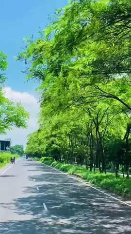 বোয়ালিয়া র্ঝণা 💫💚#rs_rony #foryou #unfrezzmyaccount 
