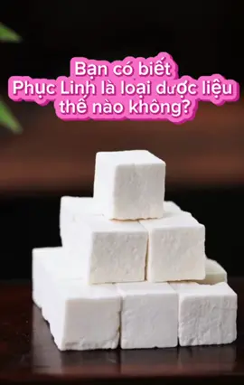 🧠 Tưởng là món ăn vặt, hóa ra là “vị thuốc quý”! Bạn đã nghe về Phục Linh chưa? Loại nấm mọc ký sinh trên rễ cây thông, được gọi là “thượng phẩm” trong sách cổ! 🍄 👉 An thần, bổ não, giải độc, kéo dài tuổi thọ – nghe là mê rồi!#muitafarm #xuhuong #xuhuongtiktok #fyp #trending #hot #foryou #foryoupage #tiktok #trathaomoc #khoedepmoingay #songkhoe #healthy #suckhoechomoinguoi #suckhoe #phuclinh #duongsinh #yhct #duoclieu #kienthuc
