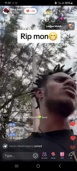Bura Bull Live Record
